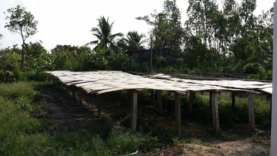 rice vermicelli noodle-cantho